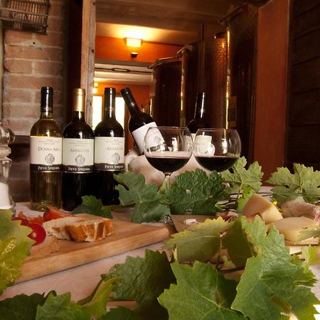 Agriturismo Pieve Sprenna Буонконвенто Екстер'єр фото