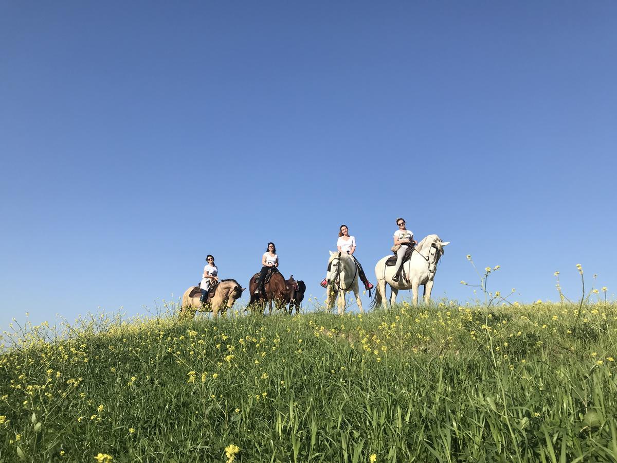 Agriturismo Pieve Sprenna Буонконвенто Екстер'єр фото