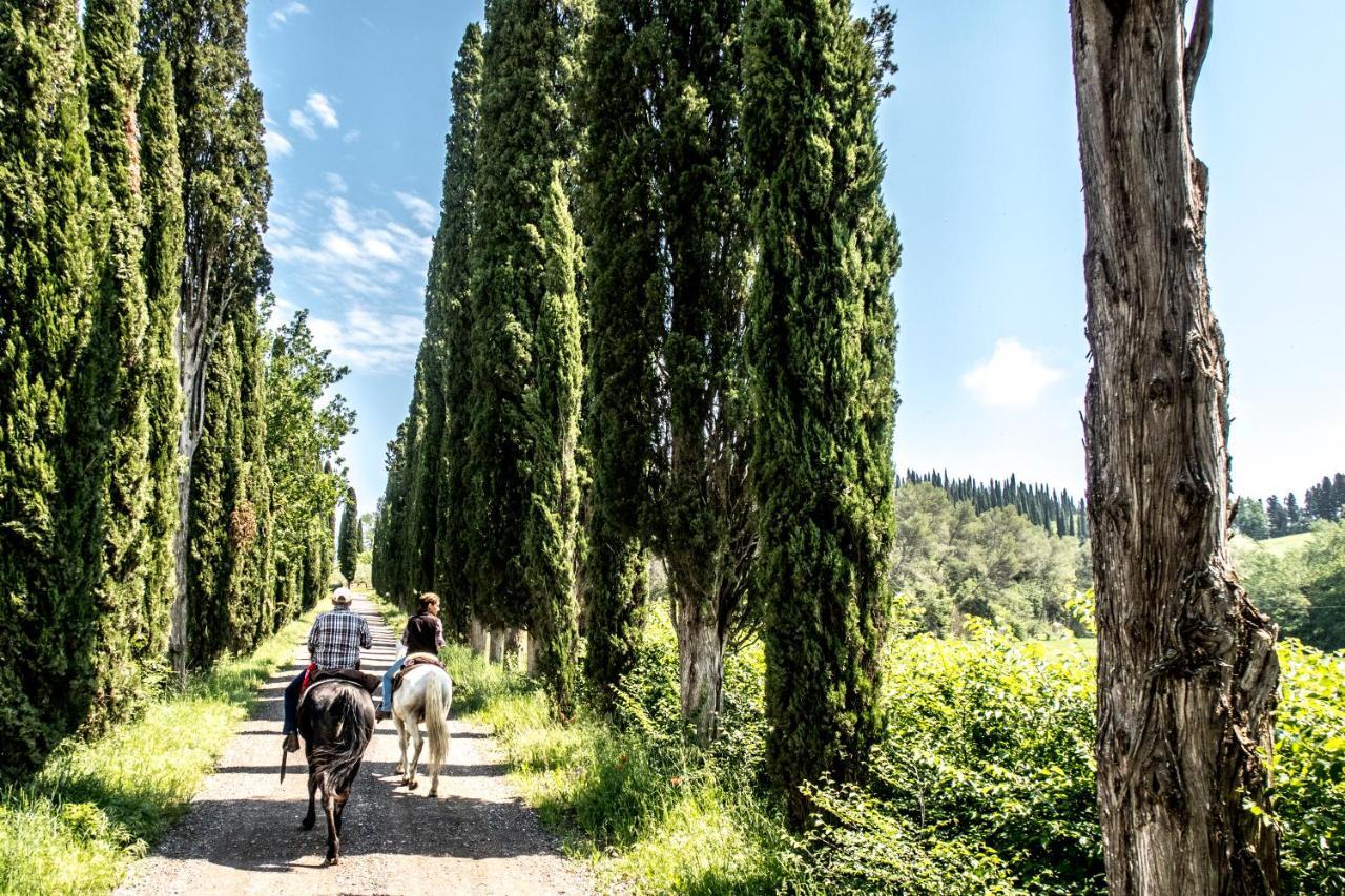Agriturismo Pieve Sprenna Буонконвенто Екстер'єр фото