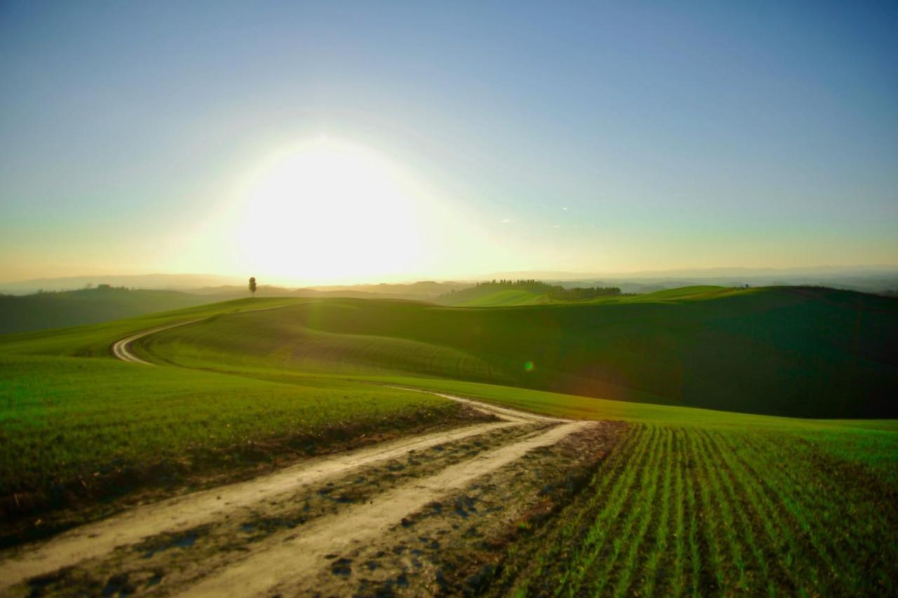 Agriturismo Pieve Sprenna Буонконвенто Екстер'єр фото